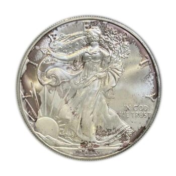 Imperfect Silver Eagle