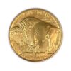 1 Troy Ounce Gold Buffalo - Image 2