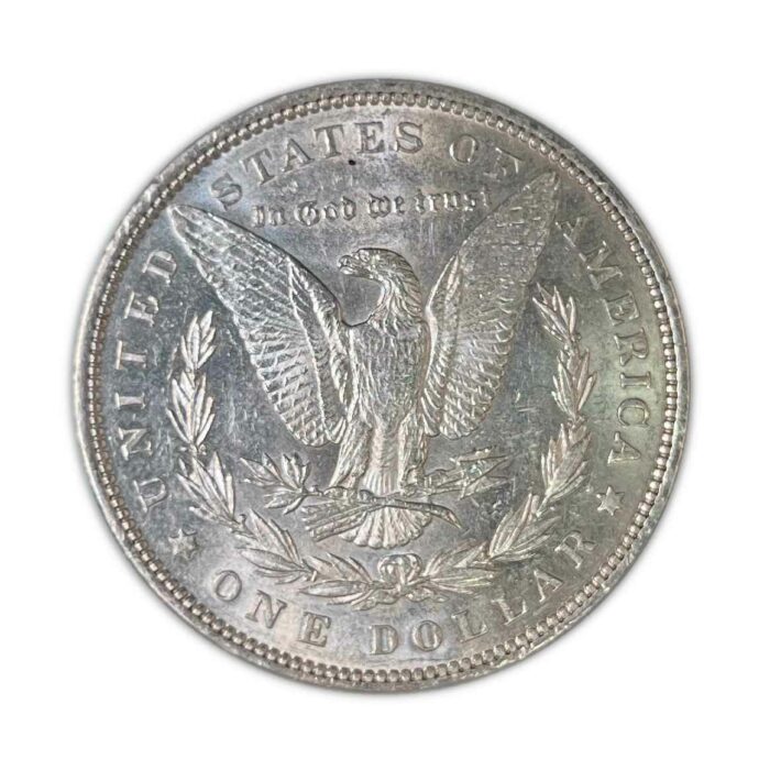 1889 Morgan Silver Dollar