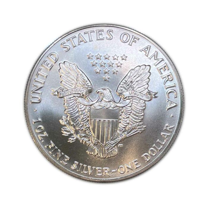 1991 American Silver Eagle