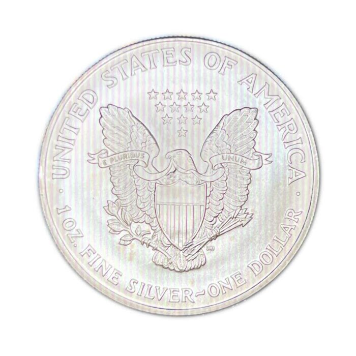 2004 American Silver Eagle