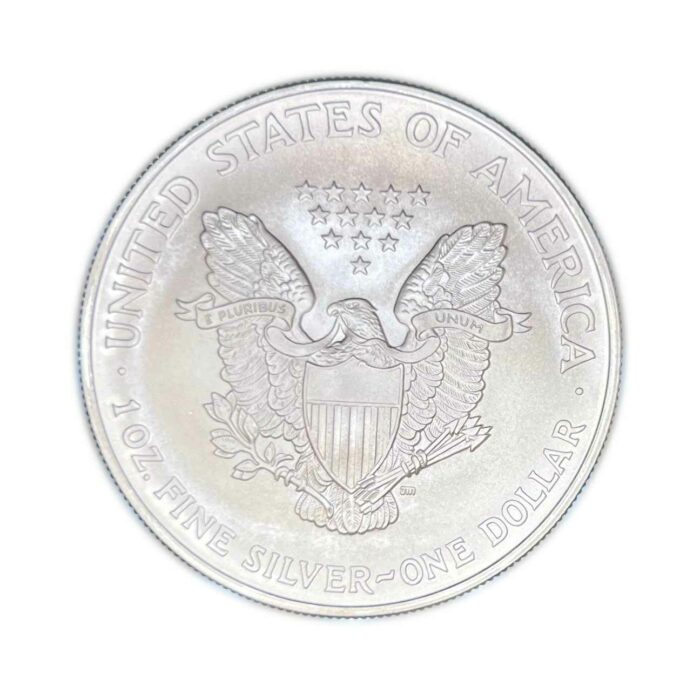 2005 American Silver Eagle