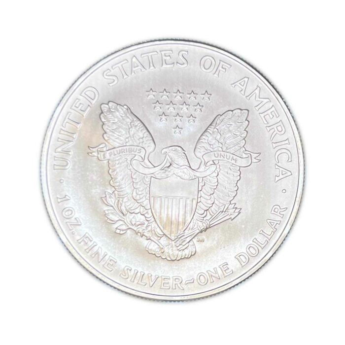 2007 American Silver Eagle