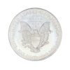 2009 American Silver Eagle