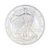 2020 American Silver Eagle