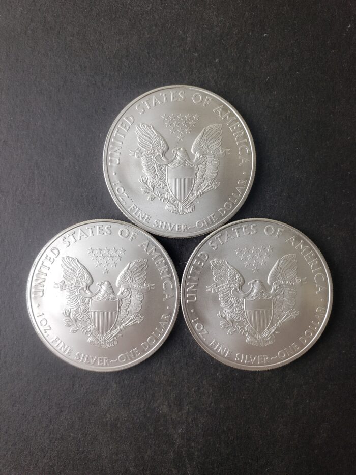 Lot of Three 2010 $1 American Silver Eagle Dollars - Image 2