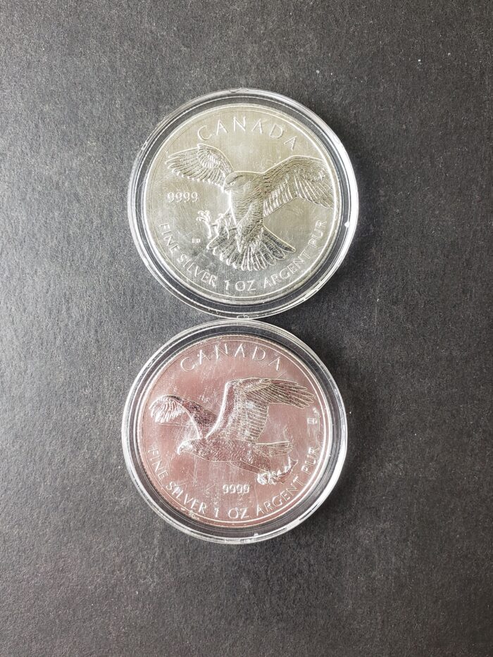 Two 2014 Canada $5 1oz Silver Bird Coins in Capsules - Image 2