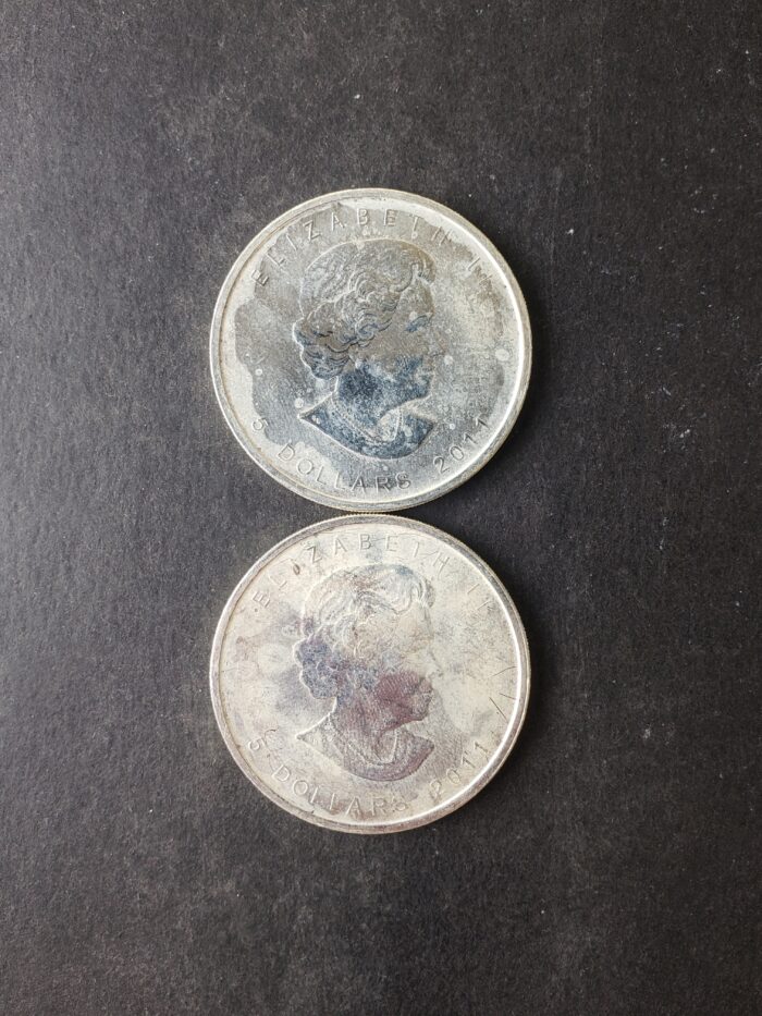 Two 2011 Canada $5 1oz Silver Wolf Coins at Spot - Image 2