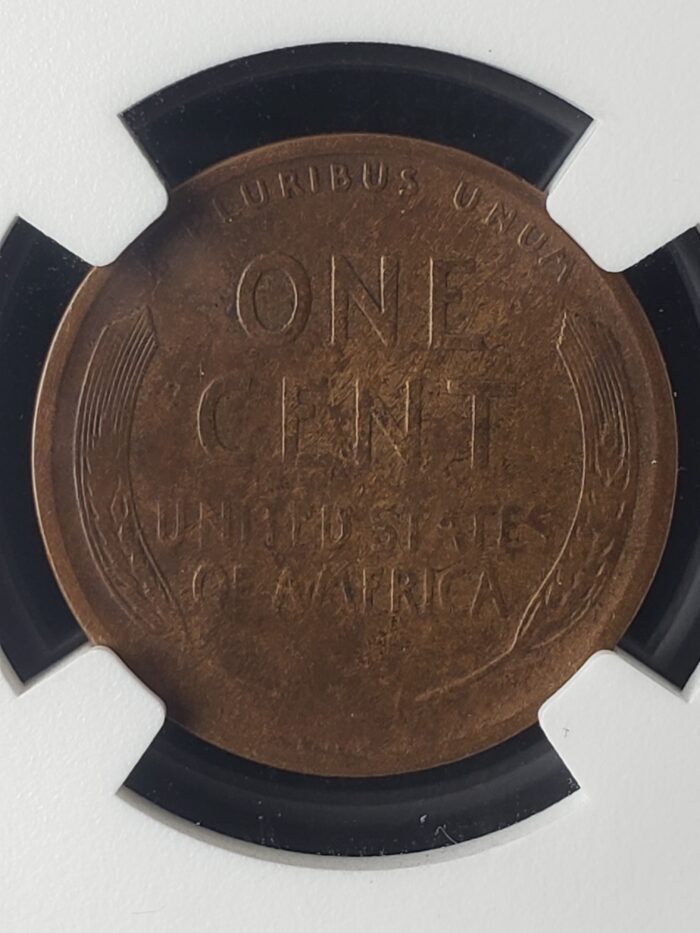 1909 S V.D.B. 1c Lincoln Wheat Cent NGC VG Details Environmental Damage - Image 3